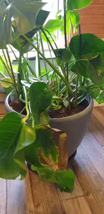 20221013_094911.jpg