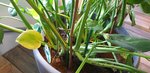 20221013_094929.jpg