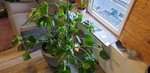 20221013_094849.jpg