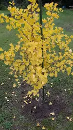 20221013_144343.webp