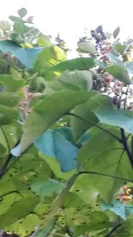 20221009_142713.webp