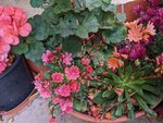 PXL_20221014_140426923.jpg