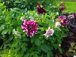 IMG_20221003_144538.jpg