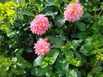 IMG_20221003_144646.jpg