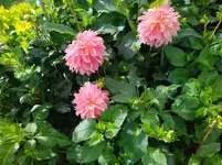 IMG_20221003_144646.webp