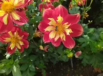 IMG_20221003_145008.webp