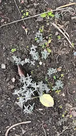 ABF203A7-2128-4337-A27F-04379E5042BB.webp ABF203A7-2128-4337-A27F-04379E5042BB.webp