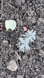 0C3E9EE6-07CE-4562-A265-7191FC1B2962.webp 0C3E9EE6-07CE-4562-A265-7191FC1B2962.webp