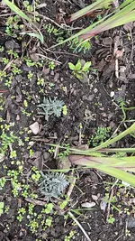 E06CE480-4066-4978-9BCB-91DF22FA72B8.webp E06CE480-4066-4978-9BCB-91DF22FA72B8.webp