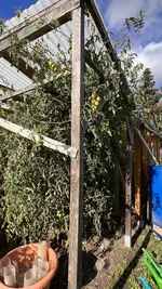 50411B61-12ED-439E-9B9C-D0B983596B29.jpeg