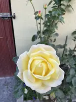 5C00388D-5FFC-4699-AB53-6191F08C12B4.webp