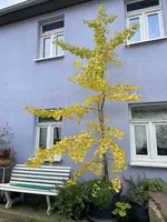 0DC25477-2AE2-46A7-8C39-2D3F5D6D1ABB.webp