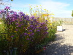 DSC02686.JPG