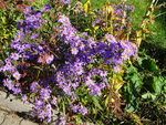 DSC02687.JPG