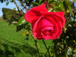 DSC02688.JPG