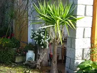 DSC02692.webp