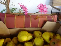 DSC02693.webp
