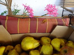 DSC02693.JPG