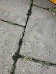 20221013_093238.jpg