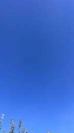 65B82587-8729-4333-BAB8-236908D5680B.jpeg