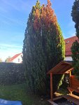20221017_153356.jpg