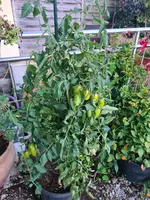 20221017_181826.webp
