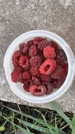 C5F59087-CC65-47EE-B2F0-767C3FD360FE.webp
