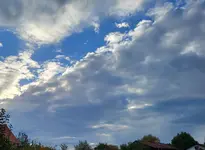 20221018_171631.webp