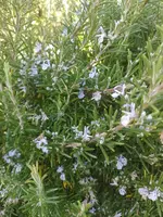 IMG_20221016_125621.webp