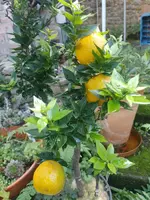 IMG_20221016_124026.webp