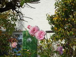 DSC02694.JPG