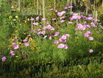 DSC02706.JPG