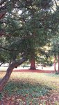 20221022_104020.jpg