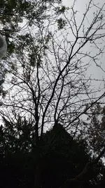 20221022_103948.webp