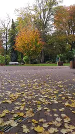 20221022_103753.webp