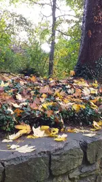 20221022_103741.webp