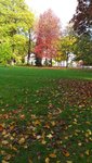 20221022_103249.jpg