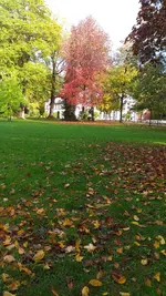 20221022_103249.webp