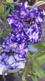 20221022_164443.webp