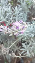 20221022_164303.webp