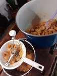 IMG_20221019_160828.jpg