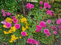 20221023_142344.webp