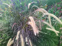 IMG_20221023_164925.webp