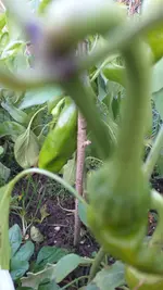 20221024_150907.webp