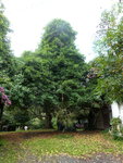 P1020288(1).JPG