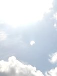 IMG_20221025_120141.jpg
