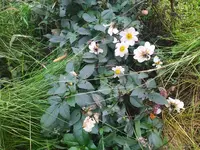 IMG_20221023_164753.webp