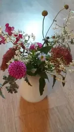 20221025_172132.webp