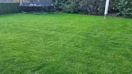 20221026_175007.webp