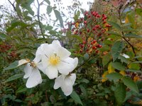DSCN4490.JPG